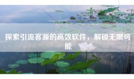 探索引流客源的高效软件，解锁无限可能
