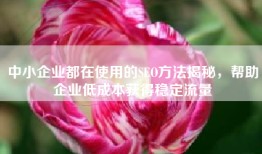 中小企业都在使用的SEO方法揭秘，帮助企业低成本获得稳定流量