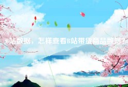 B站数据，怎样查看B站带货商品数据？