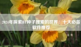 2024年探索BT种子搜索的世界：十大必备软件推荐