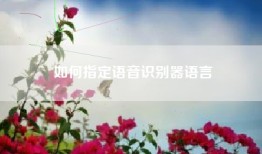 如何指定语音识别器语言