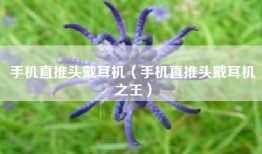 手机直推头戴耳机（手机直推头戴耳机之王）