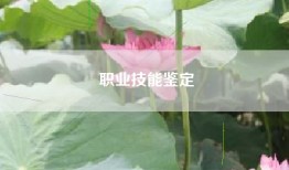 职业技能鉴定