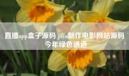 直播app盒子源码 java制作电影网站源码 今年绿色通道