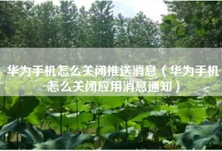 华为手机怎么关闭推送消息（华为手机怎么关闭应用消息通知）