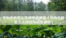 华为手机怎么关闭推送消息（华为手机怎么关闭应用消息通知）