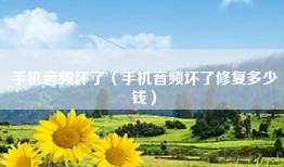 手机音频坏了（手机音频坏了修复多少钱）