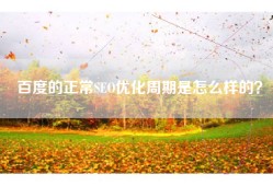 百度的正常SEO优化周期是怎么样的？