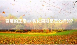 百度的正常SEO优化周期是怎么样的？