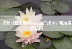 揭秘浙江关键词优化推广成本，精准投资指南