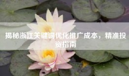 揭秘浙江关键词优化推广成本，精准投资指南