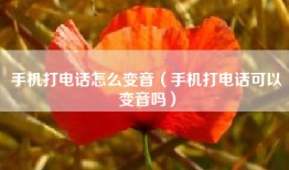 手机打电话怎么变音（手机打电话可以变音吗）