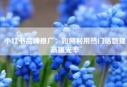 小红书品牌推广：如何利用热门话题提高曝光率