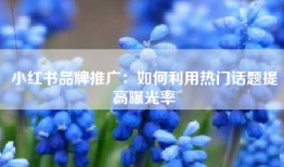 小红书品牌推广：如何利用热门话题提高曝光率