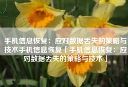 手机信息恢复：应对数据丢失的策略与技术手机信息恢复「手机信息恢复：应对数据丢失的策略与技术」