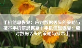 手机信息恢复：应对数据丢失的策略与技术手机信息恢复「手机信息恢复：应对数据丢失的策略与技术」