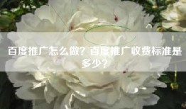 百度推广怎么做？百度推广收费标准是多少？