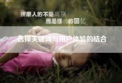 选择关键词与用户体验的结合