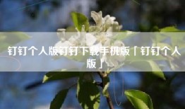 钉钉个人版钉钉下载手机版「钉钉个人版」