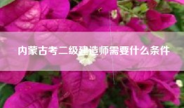 内蒙古考二级建造师需要什么条件