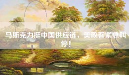 马斯克力挺中国供应链，美政客紧急叫停！