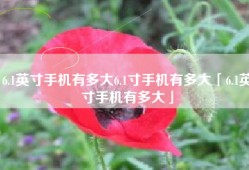 6.1英寸手机有多大6.1寸手机有多大「6.1英寸手机有多大」