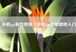 手机ppt制作教程（手机ppt制作教程入门教程）