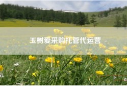 玉树爱采购托管代运营