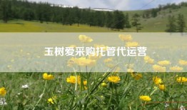 玉树爱采购托管代运营