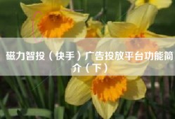 磁力智投（快手）广告投放平台功能简介（下）