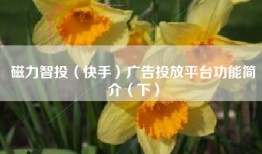 磁力智投（快手）广告投放平台功能简介（下）