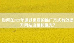如何在2024年通过免费的推广方式有效提升网站流量和曝光？