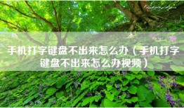 手机打字键盘不出来怎么办（手机打字键盘不出来怎么办视频）