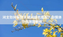 河北如何实现关键词排名靠前？自媒体作者深度解析