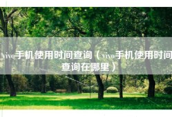 vivo手机使用时间查询（vivo手机使用时间查询在哪里）