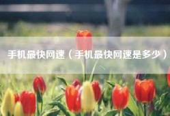 手机最快网速（手机最快网速是多少）