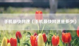 手机最快网速（手机最快网速是多少）