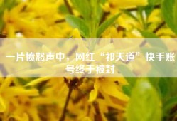 一片愤怒声中，网红“祁天道”快手账号终于被封