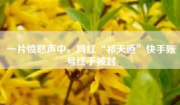 一片愤怒声中，网红“祁天道”快手账号终于被封