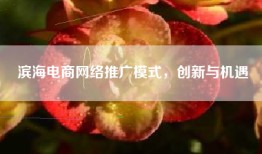 滨海电商网络推广模式，创新与机遇