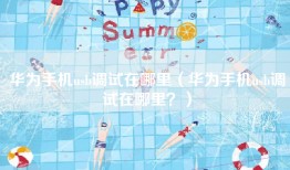 华为手机usb调试在哪里（华为手机usb调试在哪里？）