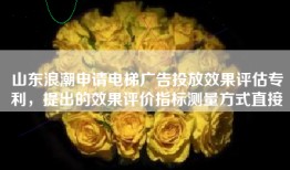 山东浪潮申请电梯广告投放效果评估专利，提出的效果评价指标测量方式直接