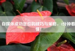 自媒体成功定位的技巧与策略，4分钟看懂！