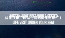 优化及推广网站（网站优化与推广）