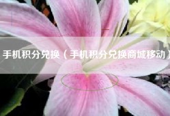 手机积分兑换（手机积分兑换商城移动）