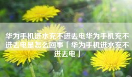 华为手机进水充不进去电华为手机充不进去电是怎么回事「华为手机进水充不进去电」