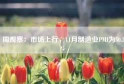 周观察：市场上行，11月制造业PMI为50.3%
