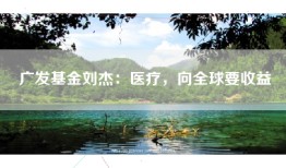 广发基金刘杰：医疗，向全球要收益