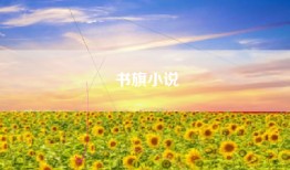 书旗小说