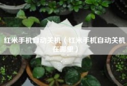 红米手机自动关机（红米手机自动关机在哪里）